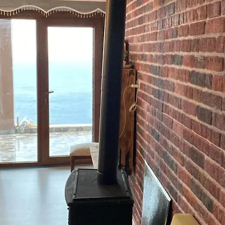 Daire Shark Seaview