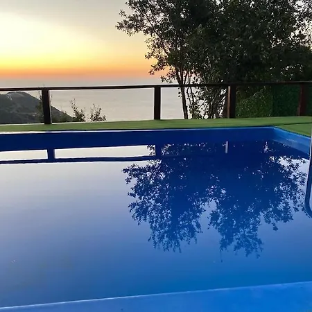 Shark Seaview